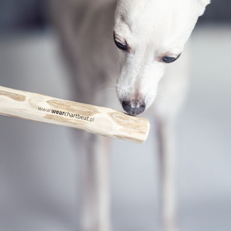 Italian greyhound chew - coffe tree stick - two sizes - Wear.Chartbeat image 2