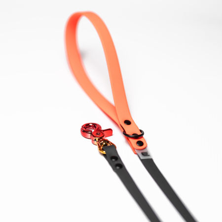 Italian greyhound leash black-orange - EYESH -for dog walks- image 3