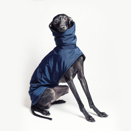 Italian greyhound jacket NAVY NYLON - Wear.Chartbeat image 2