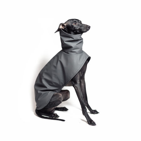 Italian greyhound STORM STOP coat - Wear.Chartbeat image 2