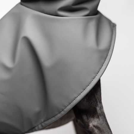 Italian greyhound STORM STOP coat - Wear.Chartbeat image 4