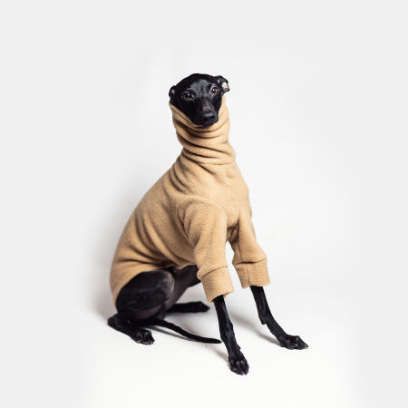 Italian greyhound clothing BLACK FLEECE - 4 colors - Wear.Chartbeat image 3