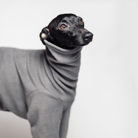 Italian greyhound clothing BLACK FLEECE - 4 colors - Wear.Chartbeat image 4