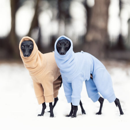 Winter jumpsuit for italian greyhound - 4 colors - Wear.Chartbeat image 2