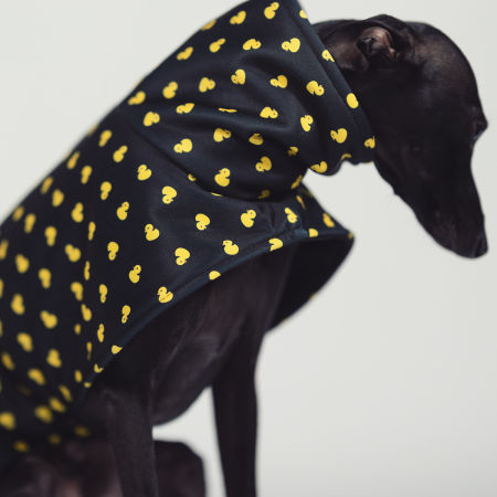 Italian greyhound DUCK OFF Softshell® jacket - Wear.Chartbeat image 3