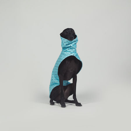 Italian greyhound BLUE POSITIVE Softshell® jacket - Wear.Chartbeat image 3