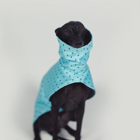 Italian greyhound BLUE POSITIVE Softshell® jacket - Wear.Chartbeat image 2