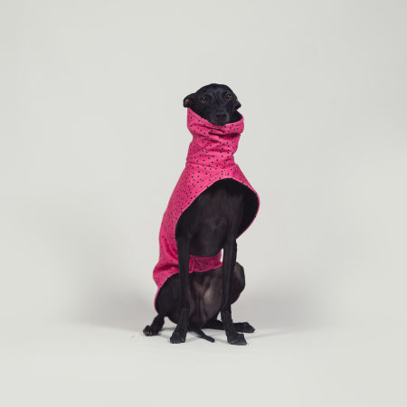 Italian greyhound ROSSO CRUSH Softshell® jacket - Wear.Chartbeat image 3