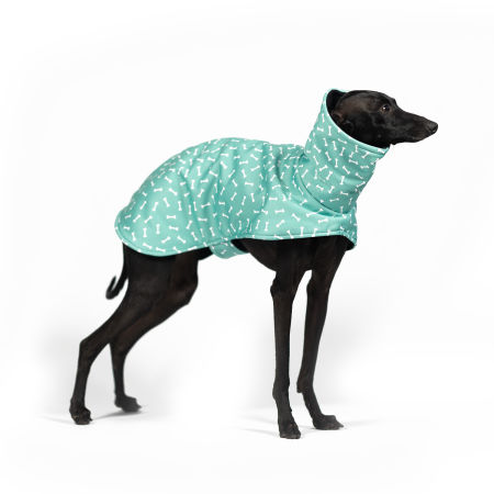 Italian greyhound BONE APPETIT Softshell® jacket - Wear.Chartbeat image 1