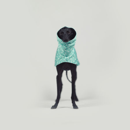 Italian greyhound BONE APPETIT Softshell® jacket - Wear.Chartbeat image 3