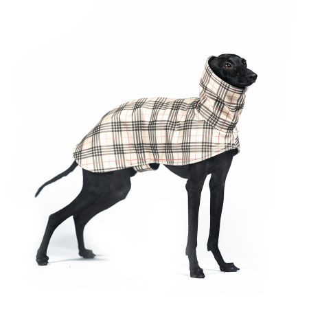 Italian greyhound FURBERRY Softshell® jacket - Wear.Chartbeat image 1