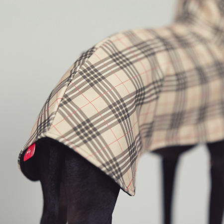 Italian greyhound FURBERRY Softshell® jacket - Wear.Chartbeat image 4