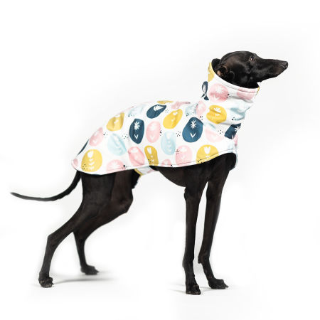Italian greyhound FLOVER Softshell® jacket - Wear.Chartbeat image 1