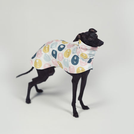 Italian greyhound FLOVER Softshell® jacket - Wear.Chartbeat image 3