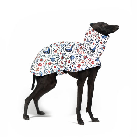 Italian greyhound SLAVIC Softshell® jacket - Wear.Chartbeat image 1