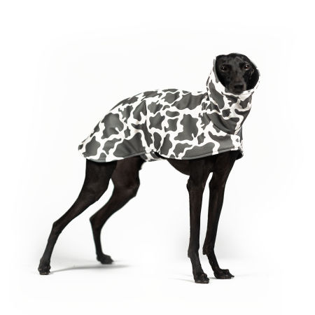 Italian greyhound WILD CAMO Softshell® jacket - Wear.Chartbeat image 1