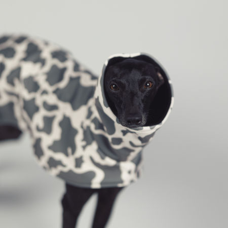 Italian greyhound WILD CAMO Softshell® jacket - Wear.Chartbeat image 2
