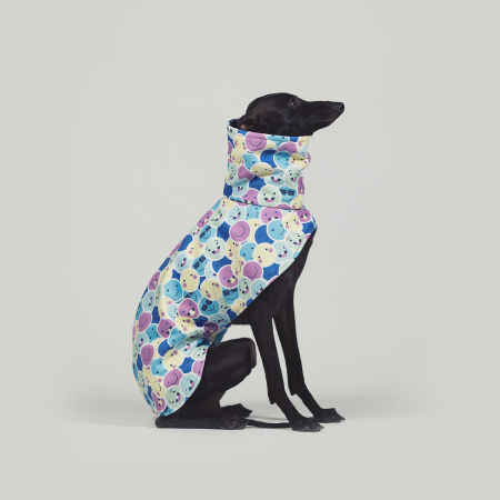 Italian greyhound EMOJITO Softshell® jacket - Wear.Chartbeat image 4