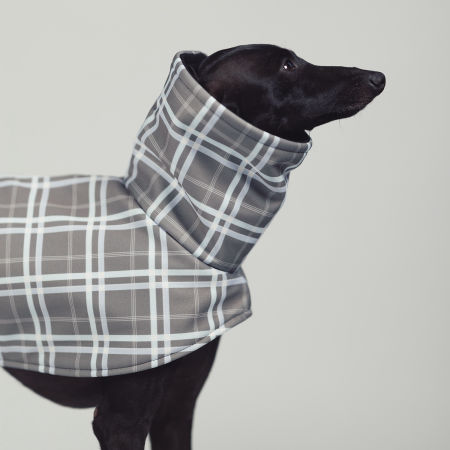 Italian greyhound FOG CHECK Softshell® jacket - Wear.Chartbeat image 2