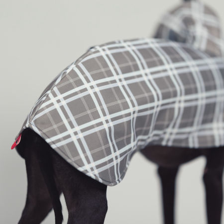 Italian greyhound FOG CHECK Softshell® jacket - Wear.Chartbeat image 3