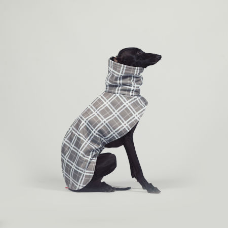 Italian greyhound FOG CHECK Softshell® jacket - Wear.Chartbeat image 4