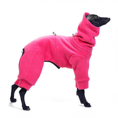 Jumpsuit for italian greyhound NEON PINK - Wear.Chartbeat image 1