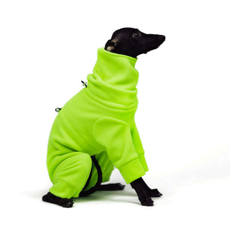 Jumpsuit for italian greyhound NEON GREEN - Wear.Chartbeat image 3