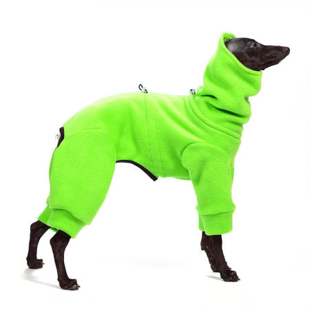 Jumpsuit for italian greyhound NEON GREEN - Wear.Chartbeat image 1