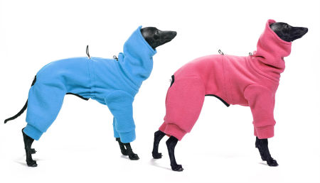 Winter jumpsuit for italian greyhound - 4 colors - Wear.Chartbeat image 1