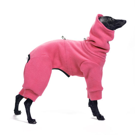 Winter jumpsuit for italian greyhound - 4 colors - Wear.Chartbeat image 2