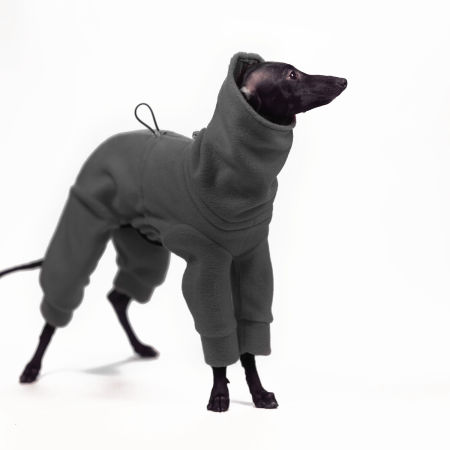 Winter jumpsuit for italian greyhound - 4 colors - Wear.Chartbeat image 2