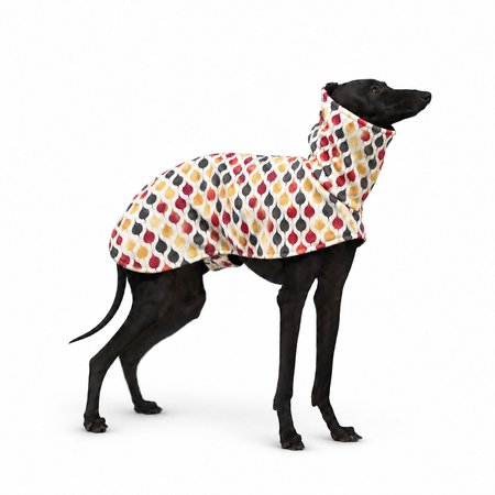 Italian greyhound AUTUMNATIC Softshell® jacket