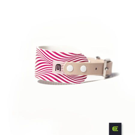 Italian greyhound collar EYESH 106 BioThane®