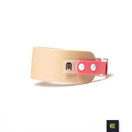 Italian greyhound collar EYESH 138 BioThane®