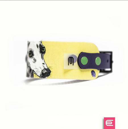 Italian greyhound collar EYESH 169 BioThane® - EYESH -for dog walks- image 2