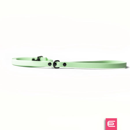 Italian greyhound leash Pastel Green BioThane®