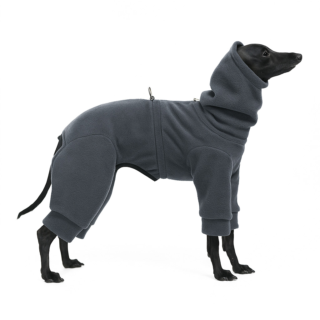 Jumpsuit for italian greyhound PALE GREY - Wear.Chartbeat image 1