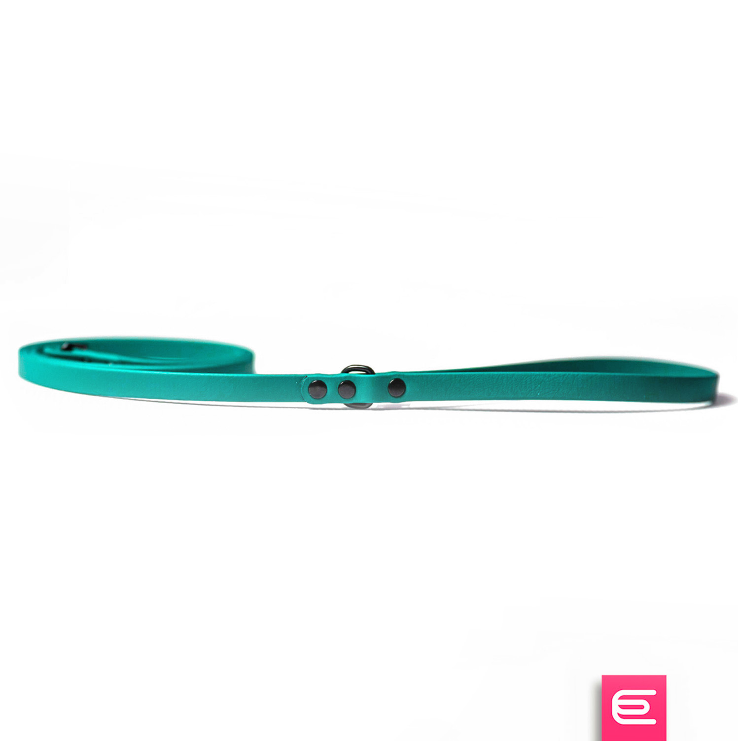 Italian greyhound leash Teal BioThane® - EYESH -for dog walks- image 1